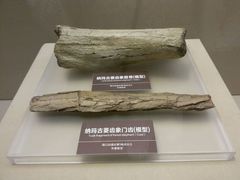 -嘉定博物馆
