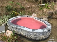 -汇雅温泉