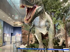 -湖南省地质博物馆