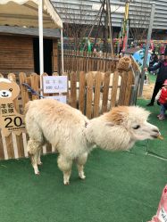 -萌宠亲子动物乐园(槐房万达店)