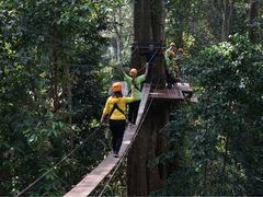 -清迈丛林飞跃 JungleFlight