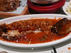 -新侨小馆(东直门北小街店)