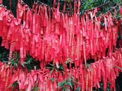 -杭州黄龙洞