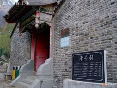 -王顺山国家森林公园