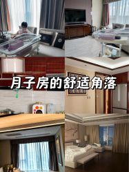 -巍阁月子中心(国贸店)