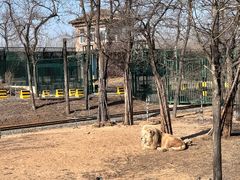 -秦皇岛野生动物园