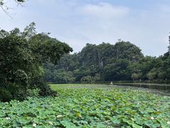 -星湖旅游景区七星岩