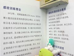 -小岳飞儿童训练馆(华腾店)