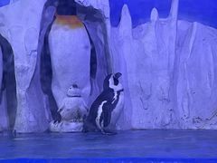 -多彩贵州城极地海洋世界