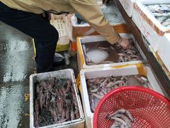 -众彩物流水产市场