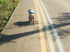 -白鹭湾湿地公园