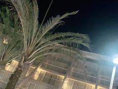 -东莞御景湾湖畔酒店·莱奥咖啡厅