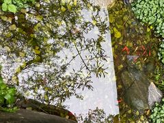 -西安电影制片厂