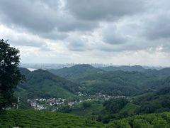 -阿巧茶庄