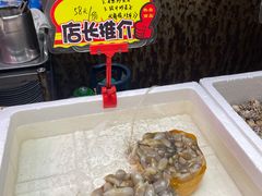 -蚝专家(北滘店)