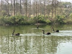 -鄱阳湖国家湿地公园