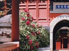 -大钟寺古钟博物馆