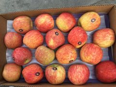 -上海龙吴水胜海发市场