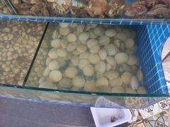 -蟹谢蒸鲜自助餐厅