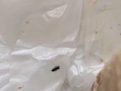 -麦香人家(世贸金街臻选店)