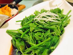 白灼丝瓜尖-大鸭梨烤鸭(左家庄店)