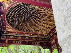 -汇龙潭