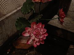 -蓉城老妈火锅(双林路店)