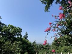 -狼山风景名胜区