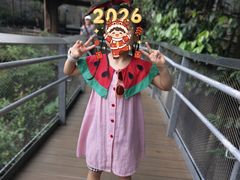 -新加坡飞禽公园