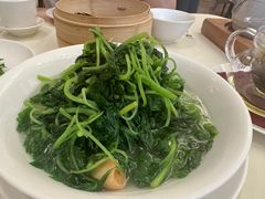 -利苑酒家(金宝店)