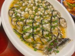 -呼吸森林·生态农庄农家乐私房菜