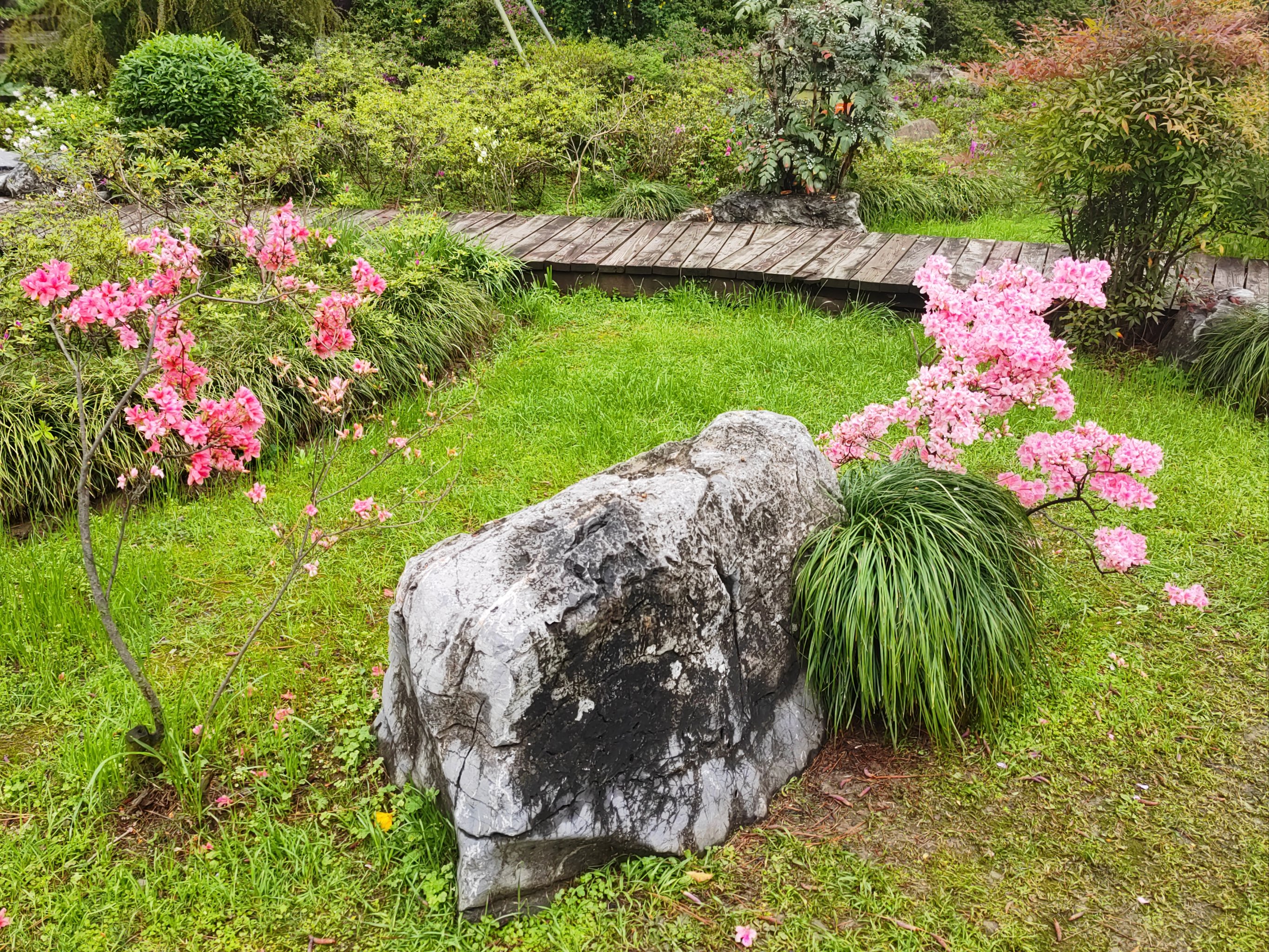 杜鹃山简介图片