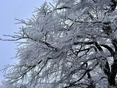 -永州阳明山国家森林公园