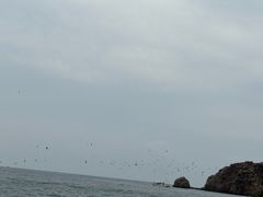 -海驴岛(荣成市)