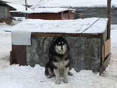 -北极村旅游风景区