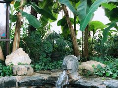 -中家鑫园温泉酒店鑫悦汤泉