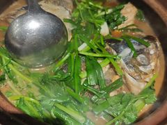 -九道菜有鸡鱼头(石鼓路店)