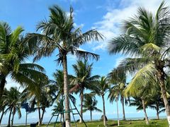 -白沙门生态公园