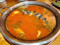 -新凯里酸汤鱼(飞山街店)