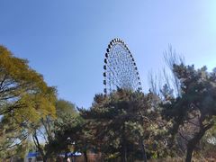 -万泉公园
