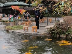 -成飞公园