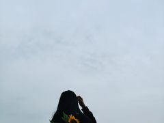 -瑶湖郊野森林公园