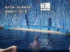 -珠海长隆海洋王国