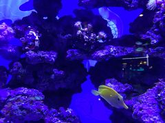 -烟台海昌鲸鲨海洋公园