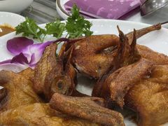 -鸽鸟轩(石岐店)