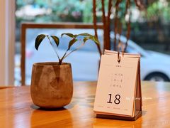 -团子君寿司·茶