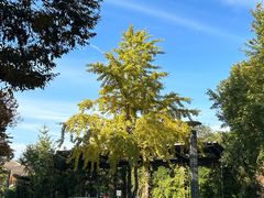 -西溪天堂·悦居