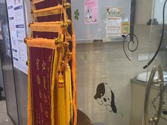 -瑞派天使宠物医院·神经外科·骨科·核磁CT(洛川中路店)
