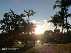 -三亚珠江南田温泉度假区