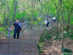 -紫金山山顶公园